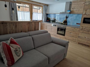 Bauernhof - Appartement beim Zefferer Schladming